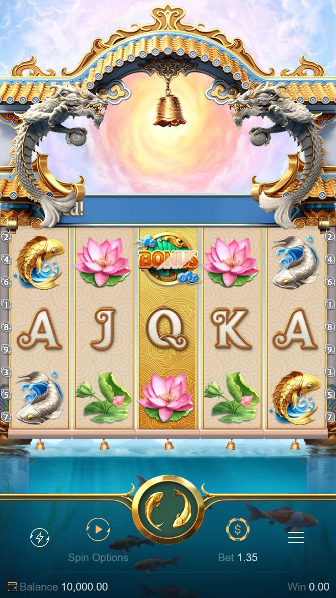 Duelbits Casino game